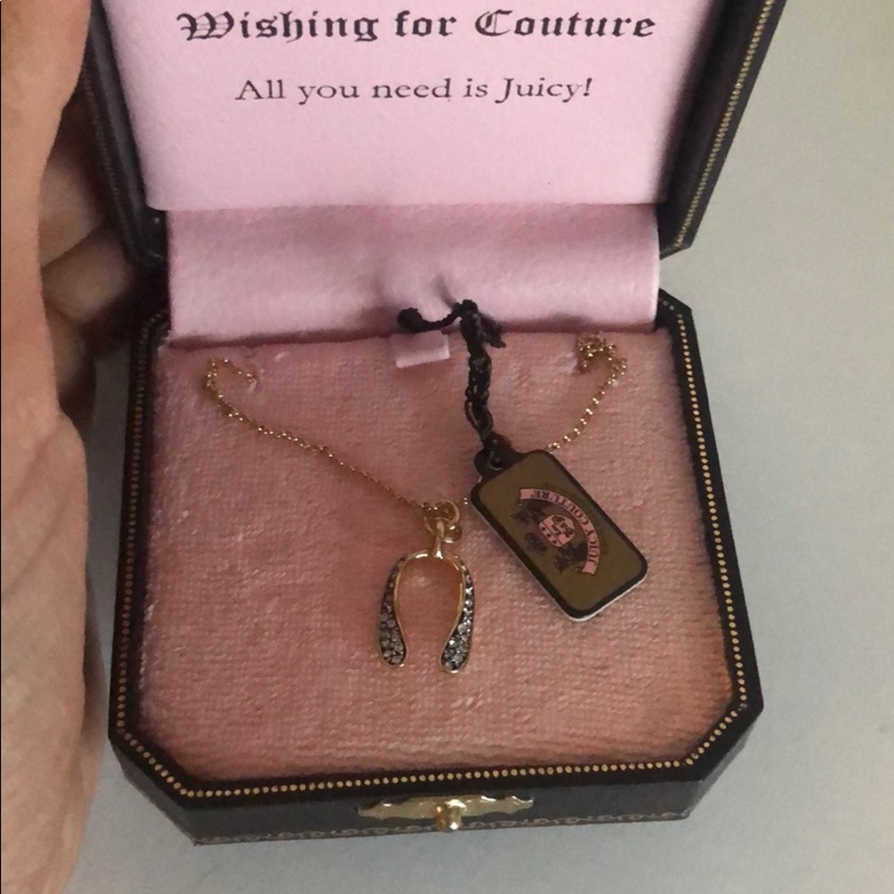 Horseshoe necklace